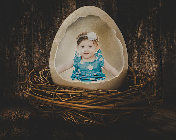 Egg Composite