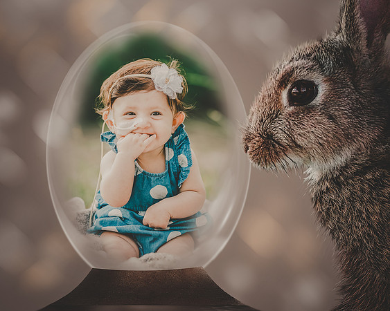 Bunny Egg Globe